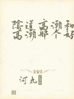 阴道高潮和阴蒂高潮哪个好