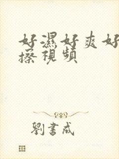 好湿好爽好想被擦视频