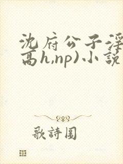 沈府公子淫史(高h,np)小说