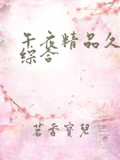 午夜精品久久久综合