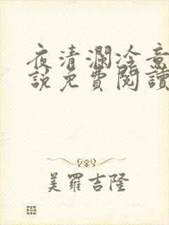 夜清澜冷意欢小说免费阅读笔趣阁无弹窗