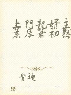 上门龙婿主人公叶辰萧初然