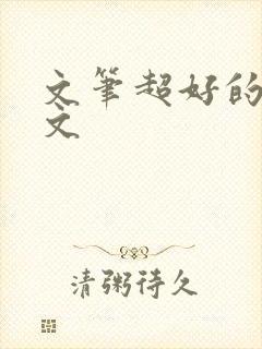 文笔超好的军旅文