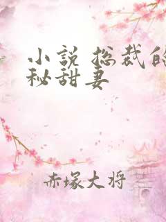 小说 总裁的神秘甜妻