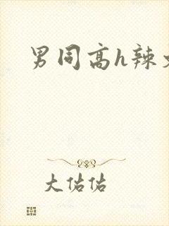 男同高h辣文