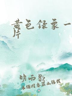 黄色录象一级大片