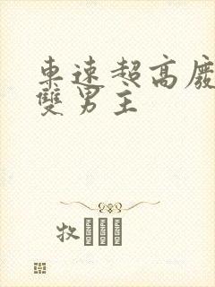 车速超高废文的双男主