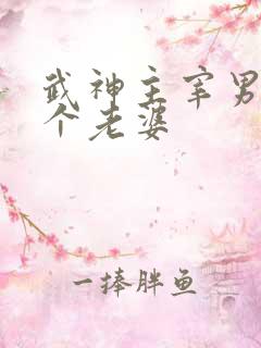 武神主宰男主几个老婆