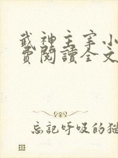 武神主宰小说免费阅读全文免费