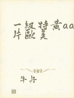 一级特黄aa大片欧美