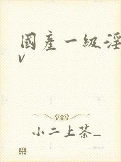 国产一级淫片av