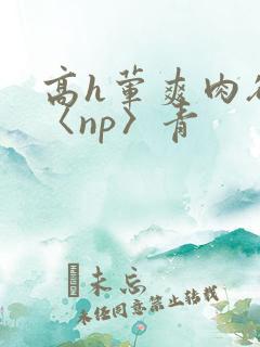 高h荤爽肉欲文〈np〉青
