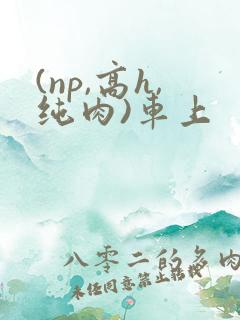 (np,高h,纯肉)车上