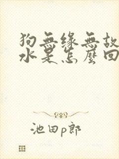 狗无缘无故流口水是怎么回事