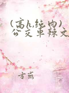 (高h,纯肉)公交车辣文