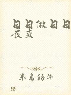 日日做日日摸夜夜爽