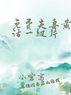 免费夫妻黄色生活一级片