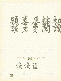 顾慕辰林初荔小说免费阅读最新章节