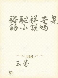 骆驼祥子是老舍的小说吗