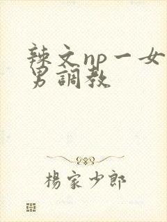 辣文np一女多男调教