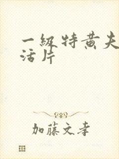 一级特黄夫妻生活片