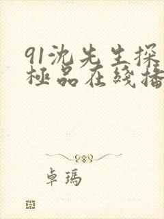 91沈先生探花极品在线播放