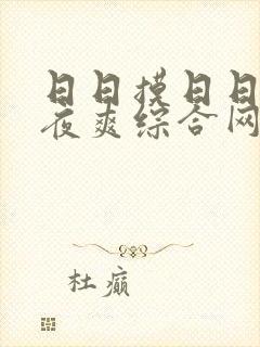 日日摸日日碰夜夜爽综合网