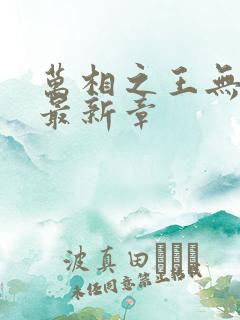 万相之王无弹窗最新章