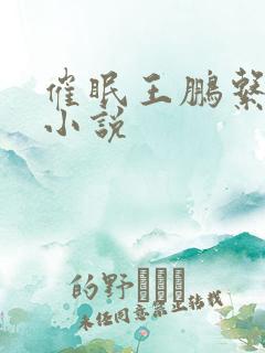 催眠王鹏系列之小说