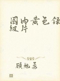 国内黄色录像一级片