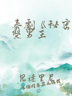 泰剧《秘密爱》双男主