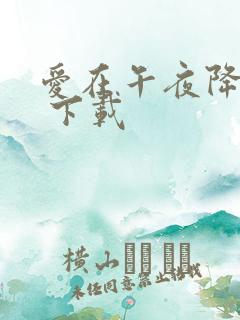 爱在午夜降临前 下载