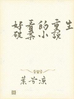 好看的重生警察破案小说