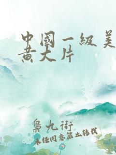 中国一级美女特黄大片