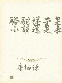 骆驼祥子是短篇小说还是长篇小说