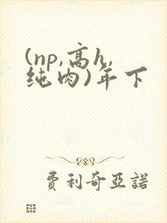 (np,高h,纯肉)年下