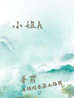 小姐h