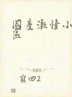 国产激情小说一区