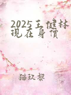 2025王健林现在身价