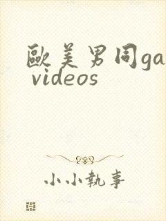 欧美男同gay videos
