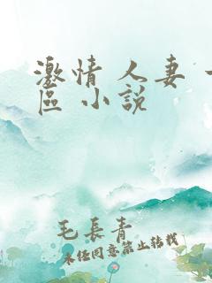 激情 人妻 一区 小说