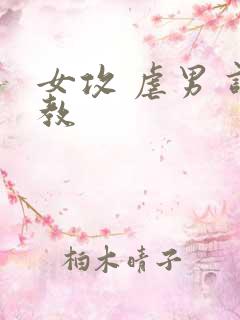 女攻 虐男 调教