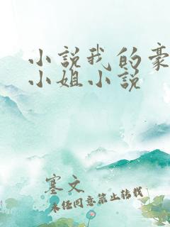小说我的豪门大小姐小说