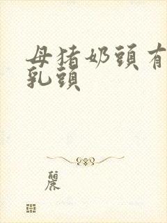 母猪奶头有几颗乳头