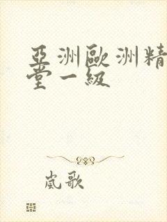 亚洲欧洲精品天堂一级