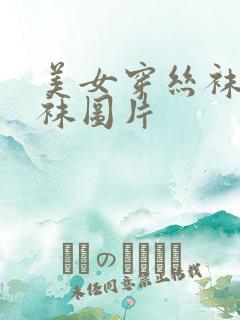 美女穿丝袜连裤袜图片