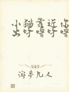 小猫靠近你时发出呼噜呼噜的声音