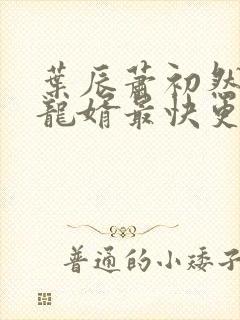 叶辰萧初然上门龙婿最快更新