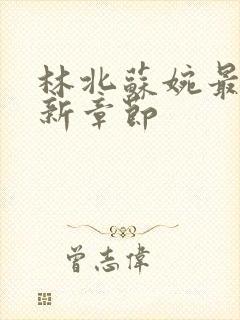 林北苏婉最新更新章节