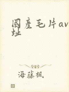 国产毛片av网址